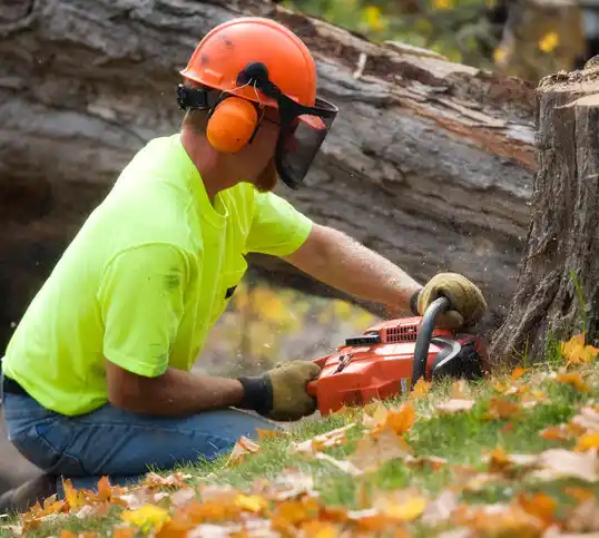 tree services Crittenden